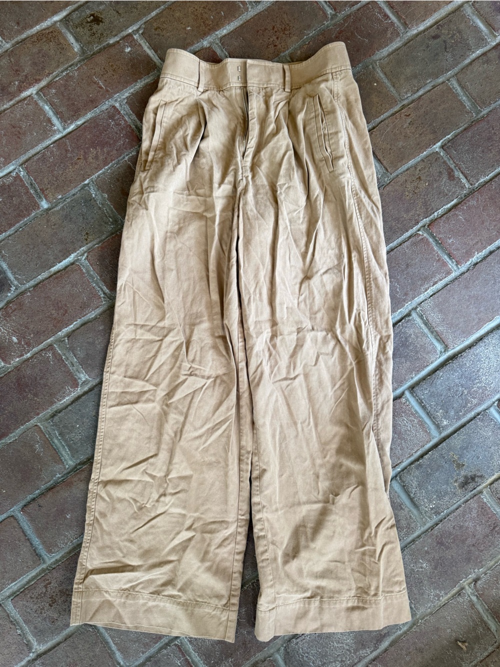 Everlane The Draper Pleated Pant Butter Smooth Tan Size 4